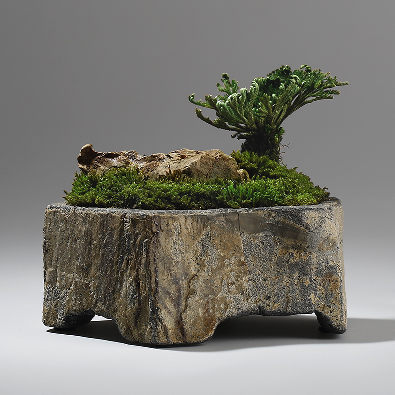 Bonsai Garden Chinese Garden - Maceta de Piedra Natural de Basalto,