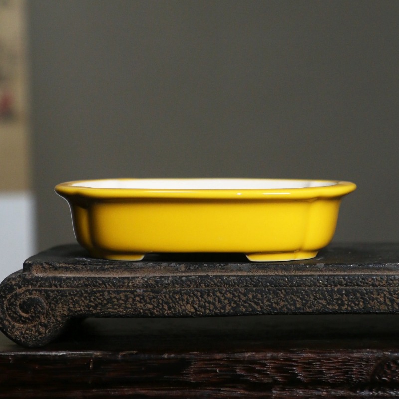 Bonsai Garden China - Maceta Rectangular de Porcelana para Bonsái,