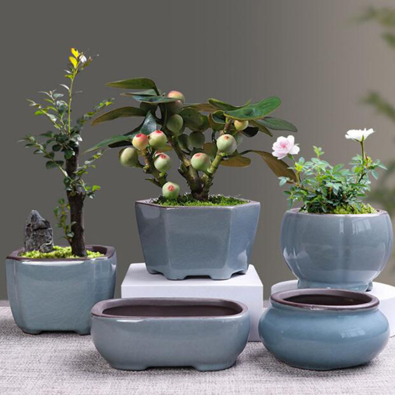 Bonsai Garden Kit - Maceta de cerámica Retro para plantas