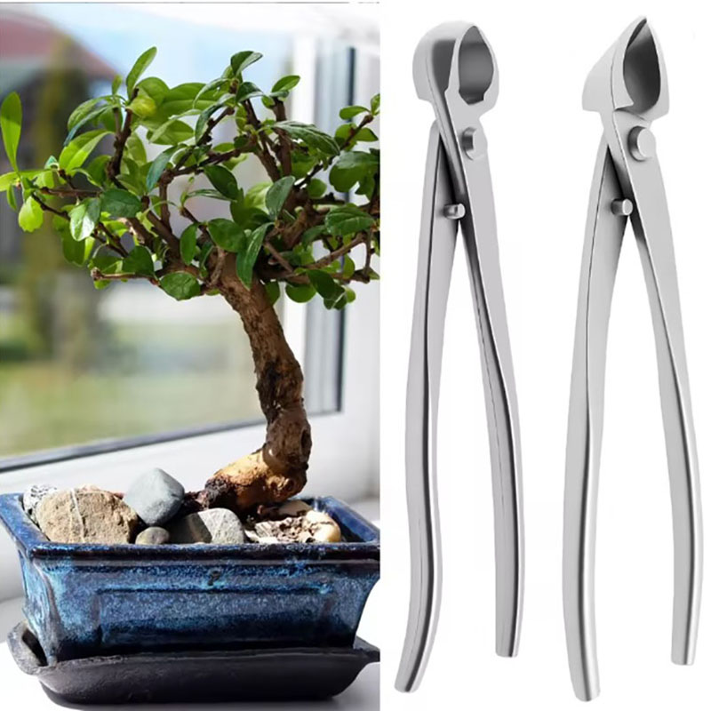 Bonsai Garden Kit - Juego de herramientas para bonsái de