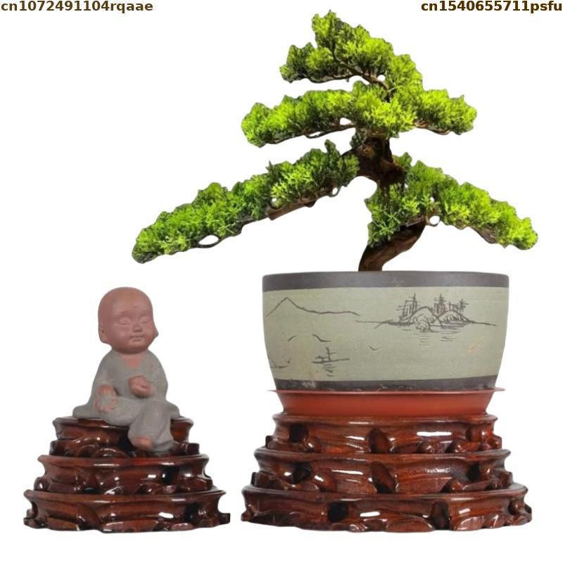 Bonsai Garden Display - Florero de pie de 6-30cm de