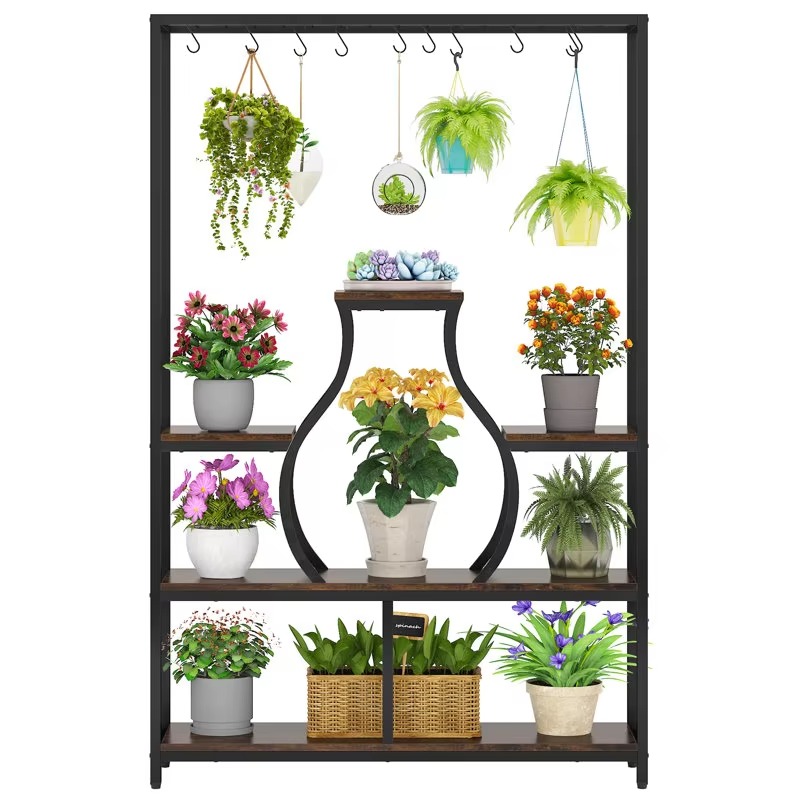 Macetas Colgantes Decorativas  - Bonsai Garden Display reseña y precio