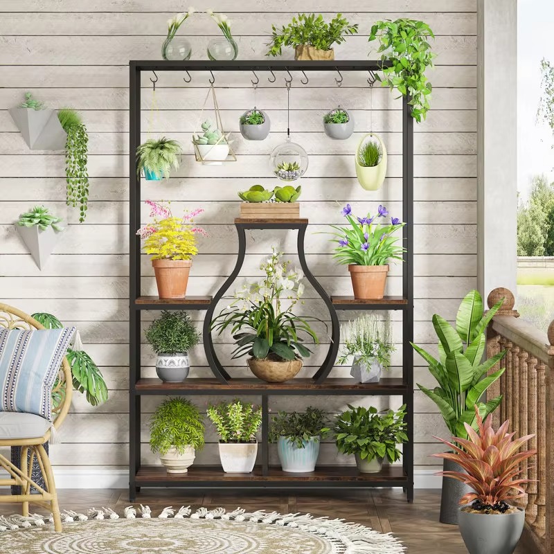 Macetas Colgantes Decorativas  - Bonsai Garden Display reseña y precio