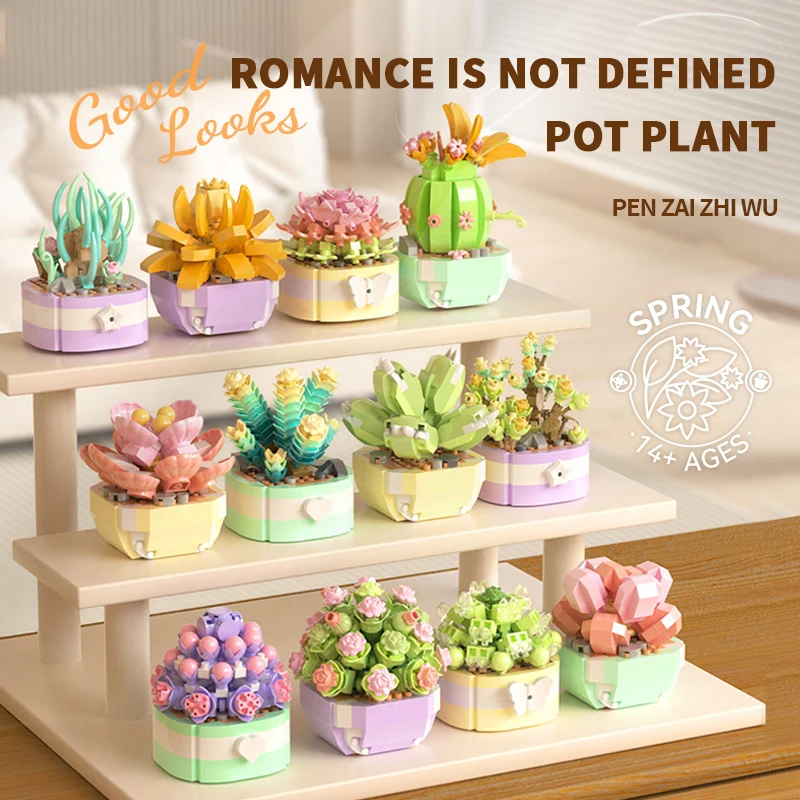 Bloques de construcción de flo - Bonsai Garden Kit reseña y precio