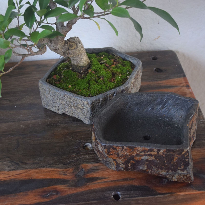 Maceta de Piedra Natural de Ba - Bonsai Garden Chinese Garden reseña y precio