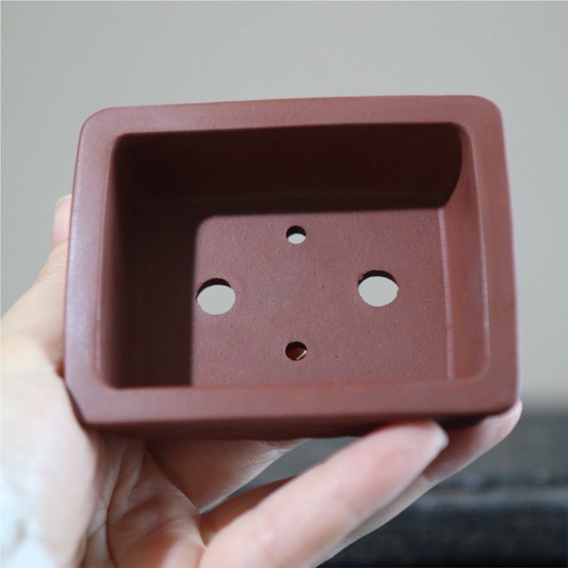 Maceta de Arcilla Morada, Mini - Bonsai Garden Kit reseña y precio