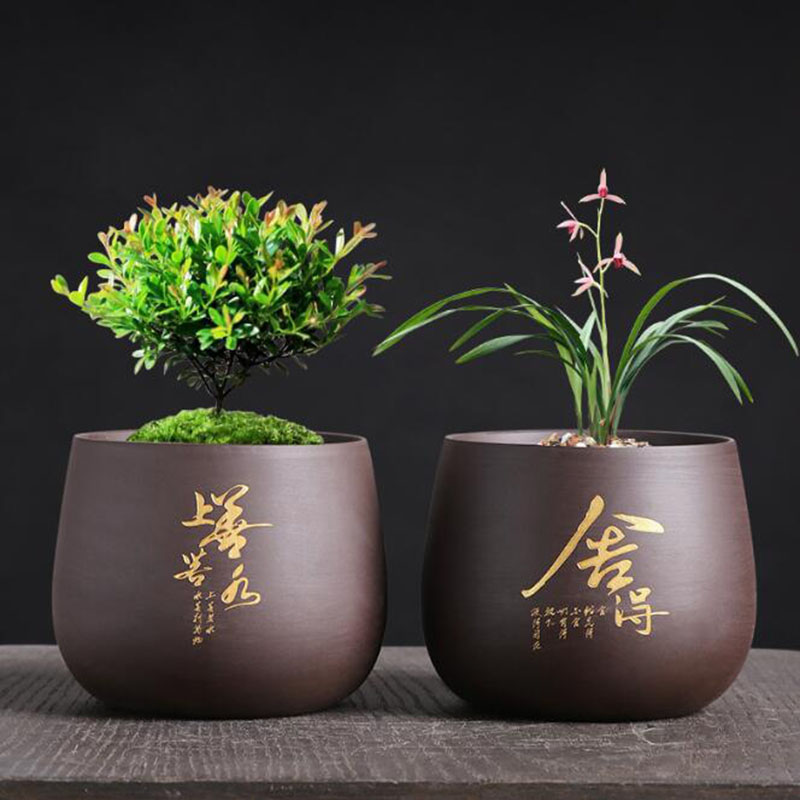 Maceta de flores de arcilla pú - Bonsai Garden Chinese Garden reseña y precio