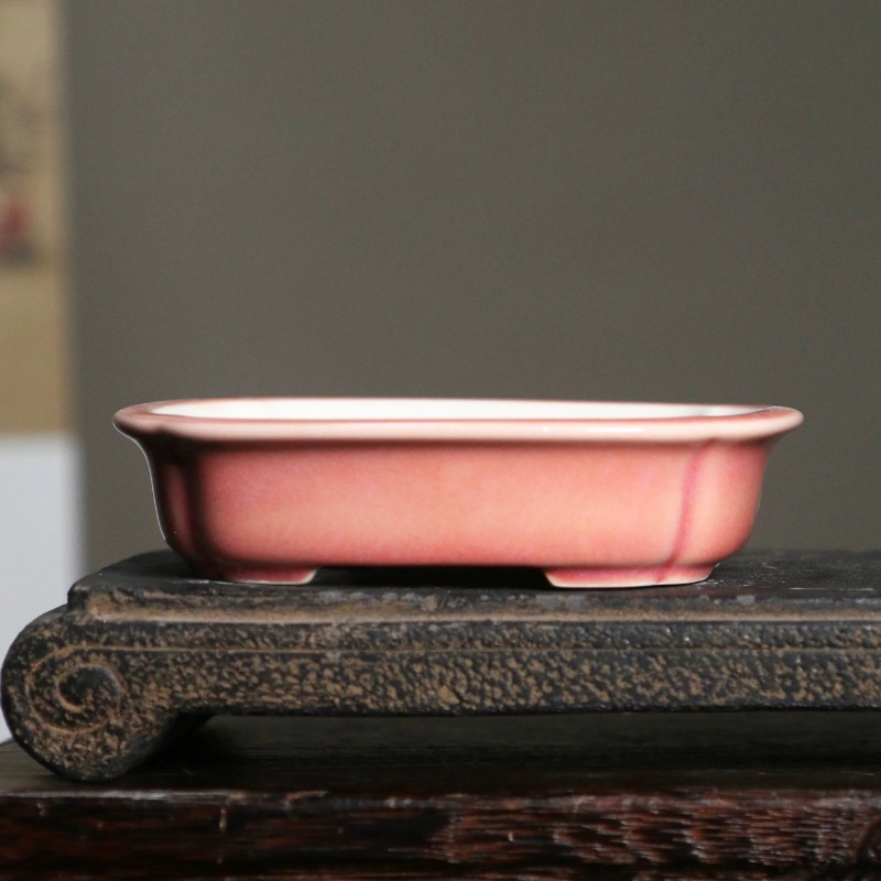Maceta Rectangular de Porcelan - Bonsai Garden China reseña y precio
