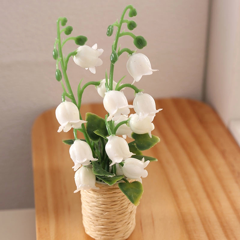 1 unidad nueva: Planta en mini - Bonsai Garden China reseña y precio