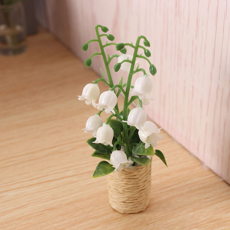 1 unidad nueva: Planta en mini - Bonsai Garden China reseña y precio