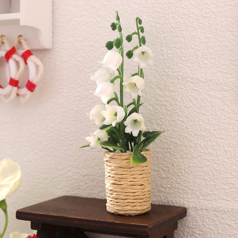 1 unidad nueva: Planta en mini - Bonsai Garden China reseña y precio