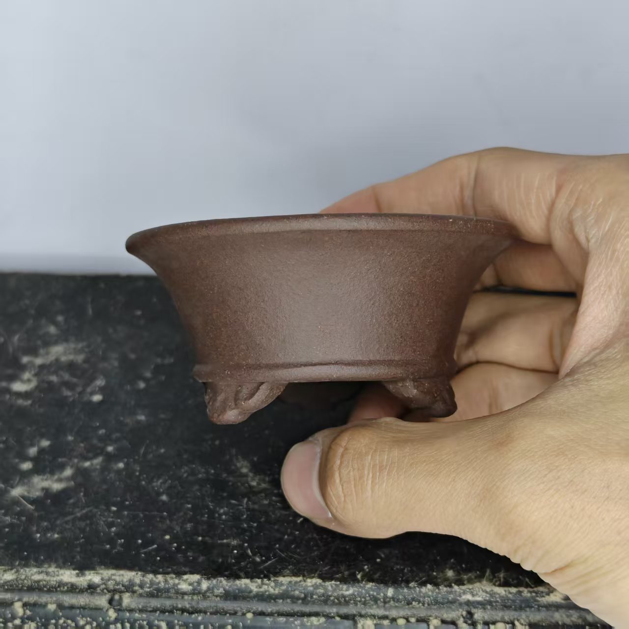 Mini maceta de bonsái de arcil - Bonsai Garden Kit reseña y precio