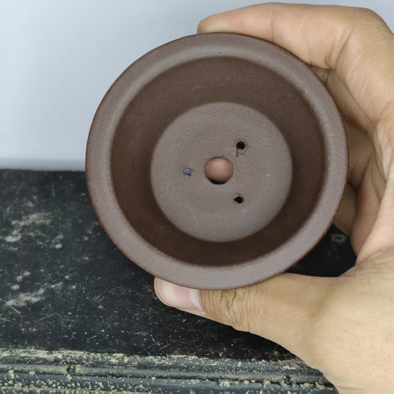 Mini maceta de bonsái de arcil - Bonsai Garden Kit reseña y precio