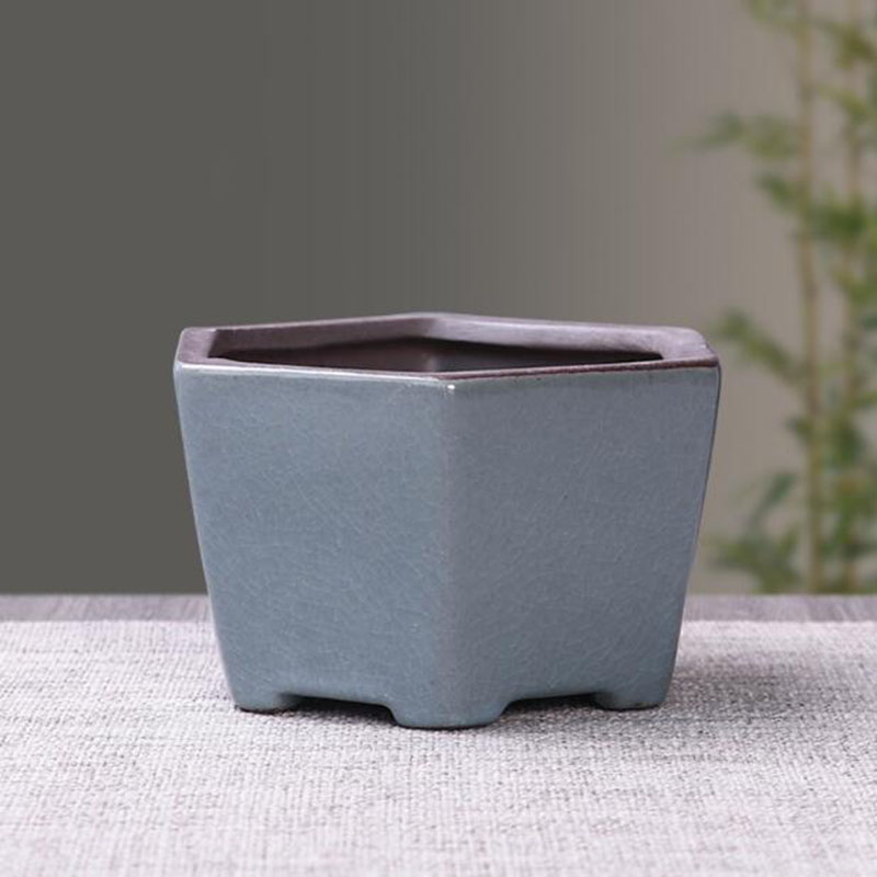 Maceta de cerámica Retro para  - Bonsai Garden Kit reseña y precio
