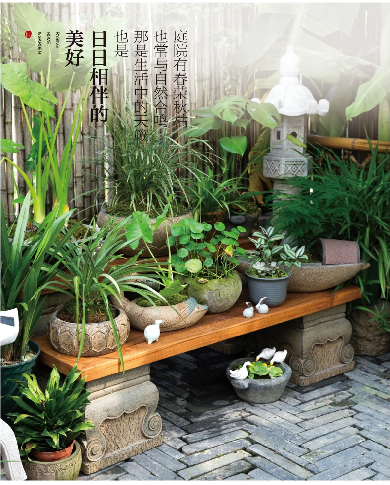 Diseño de jardín de terraza, e - Bonsai Garden Chinese Garden reseña y precio
