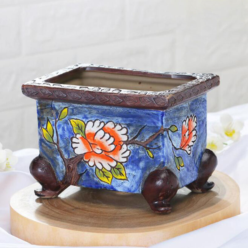 Maceta de cerámica pintada a m - Bonsai Garden Kit reseña y precio