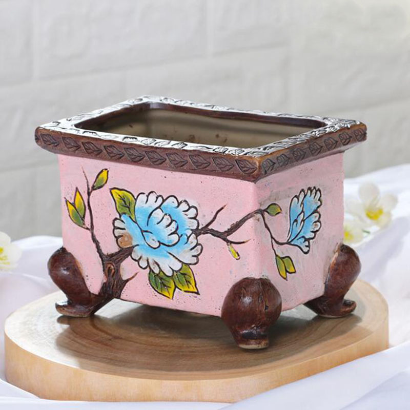 Maceta de cerámica pintada a m - Bonsai Garden Kit reseña y precio