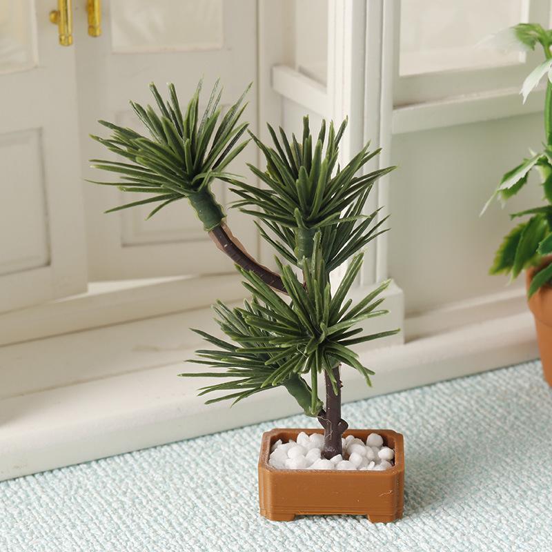 1 unidad de árbol de pino de s - Bonsai Garden Usa reseña y precio