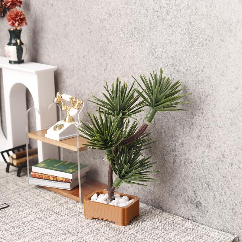 1 unidad de árbol de pino de s - Bonsai Garden Usa reseña y precio