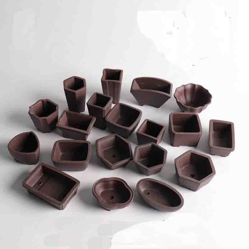 Yixing-maceta de arena púrpura - Bonsai Garden Kit reseña y precio