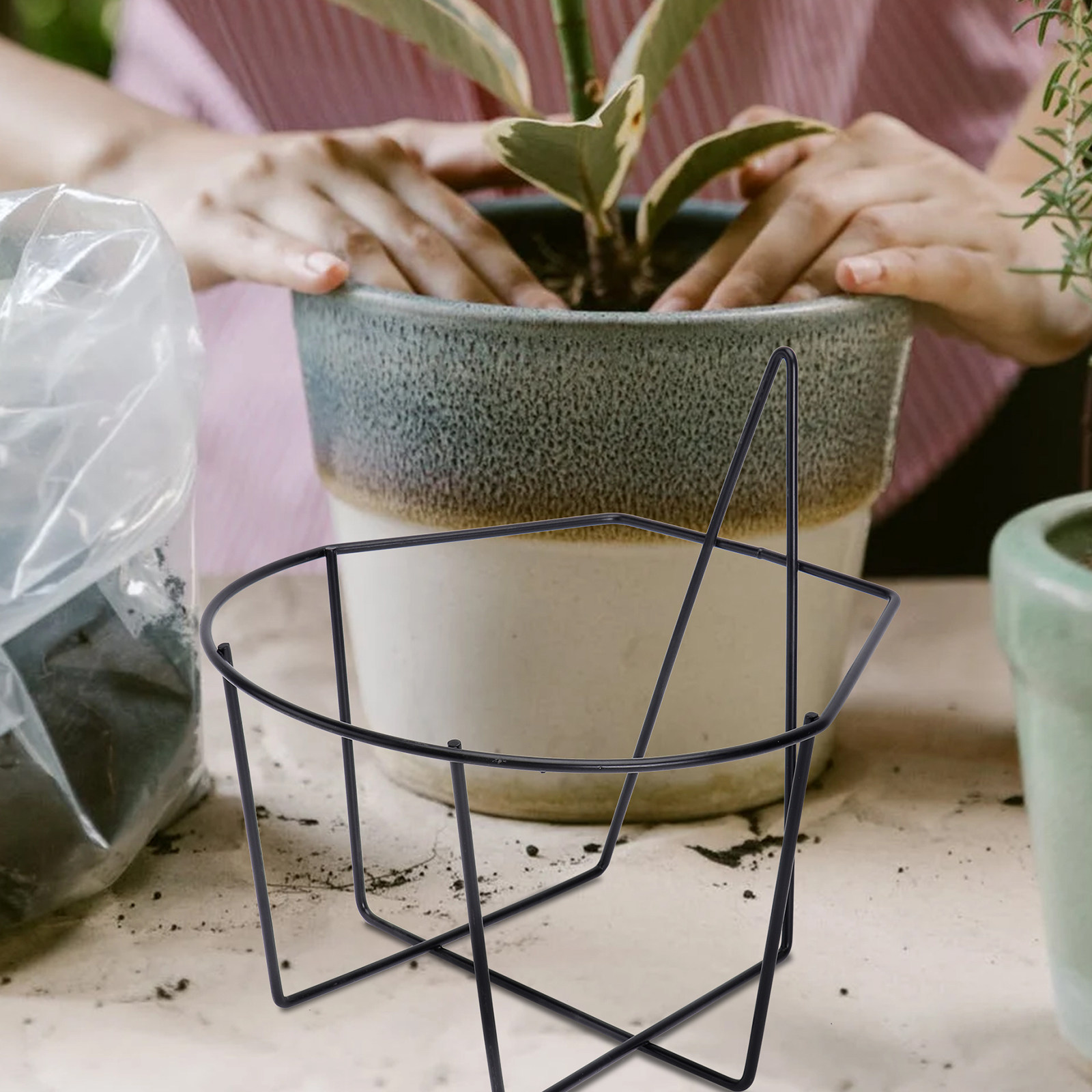 Soporte de pared para plantas  - Bonsai Garden Usa reseña y precio
