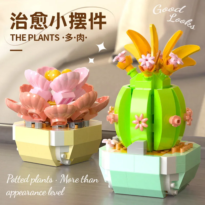 Bloques de construcción de flo - Bonsai Garden Kit reseña y precio