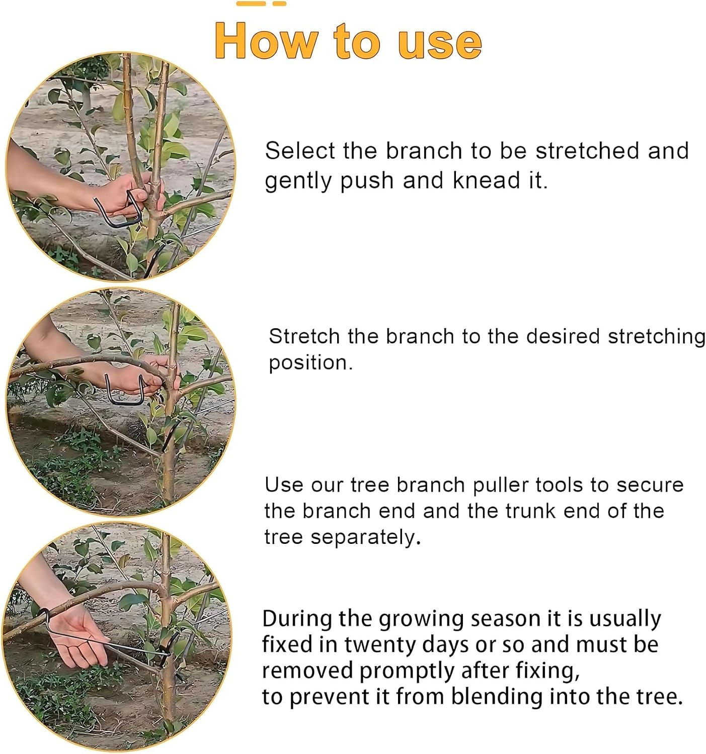 Diseñador de Ramas Ajustable p - Bonsai Garden Usa reseña y precio