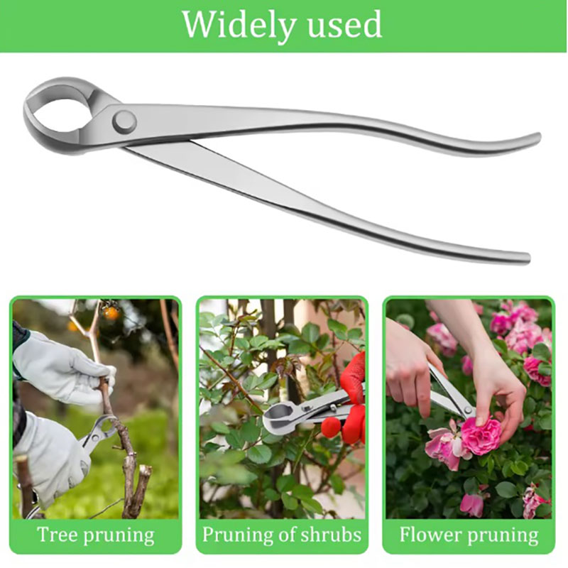 Juego de herramientas para bon - Bonsai Garden Kit reseña y precio