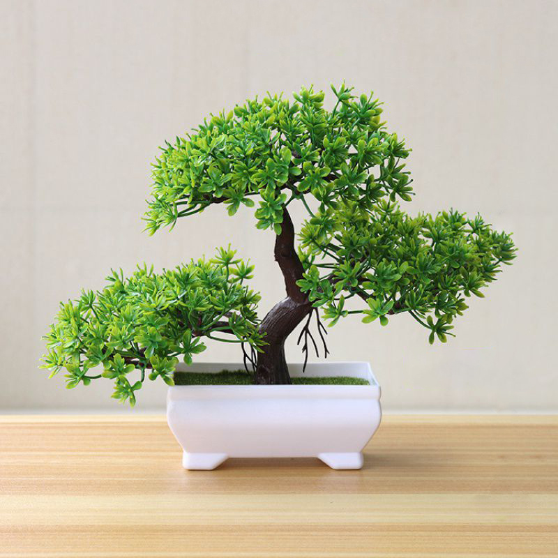 Árbol Artificial Bonsái, Plant - Bonsai Garden Kit reseña y precio