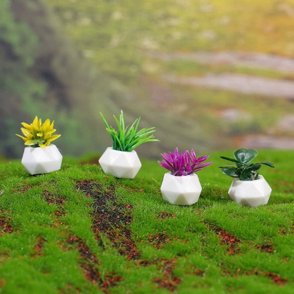 Planta en maceta en miniatura  - Bonsai Garden China reseña y precio