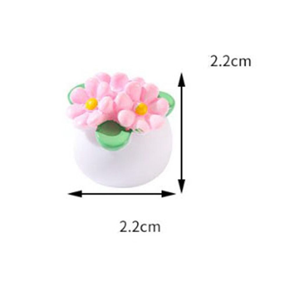 Planta en maceta en miniatura  - Bonsai Garden China reseña y precio
