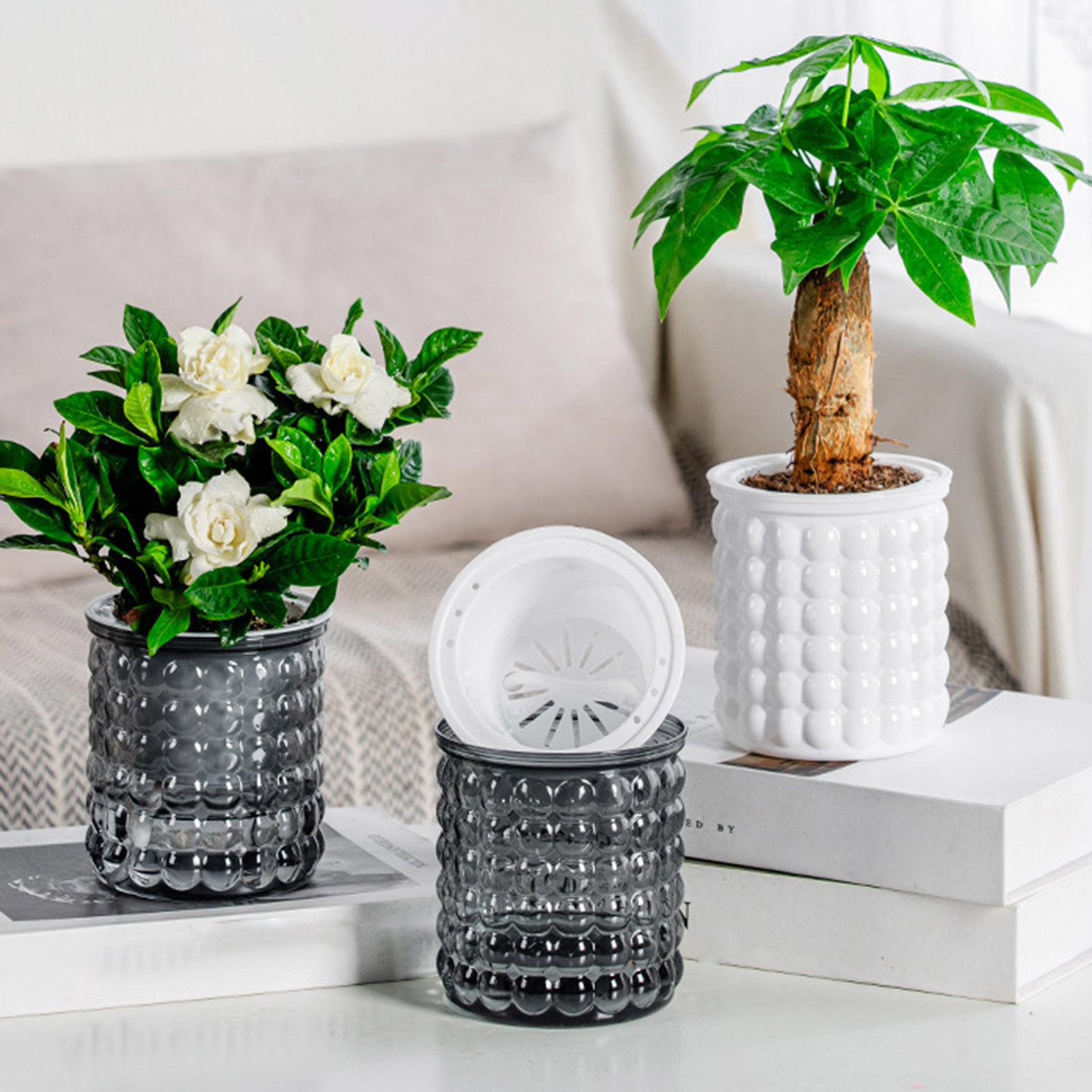 Nuevo Maceta de plantas hidrop - Bonsai Garden Kit reseña y precio