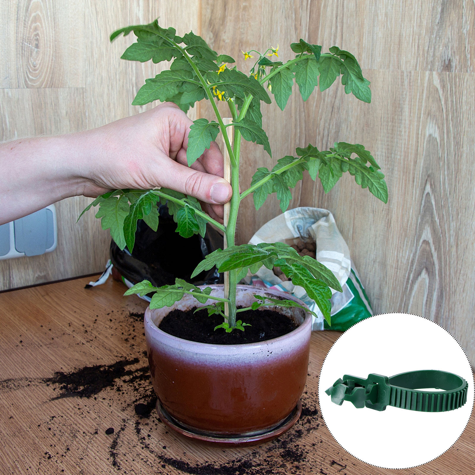 20 Piezas de Hebillas de Fijac - Bonsai Garden Usa reseña y precio