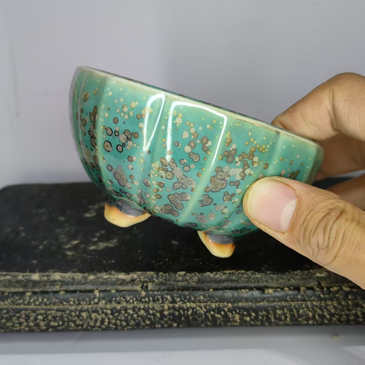 Maceta Redonda Popular para Bo - Bonsai Garden Kit reseña y precio