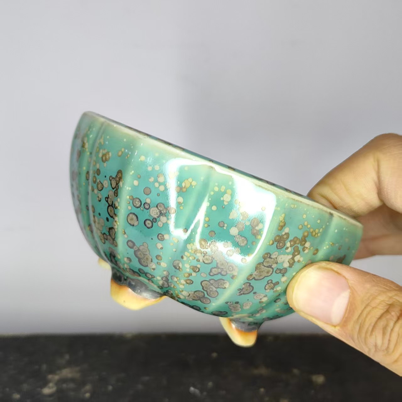 Maceta Redonda Popular para Bo - Bonsai Garden Kit reseña y precio