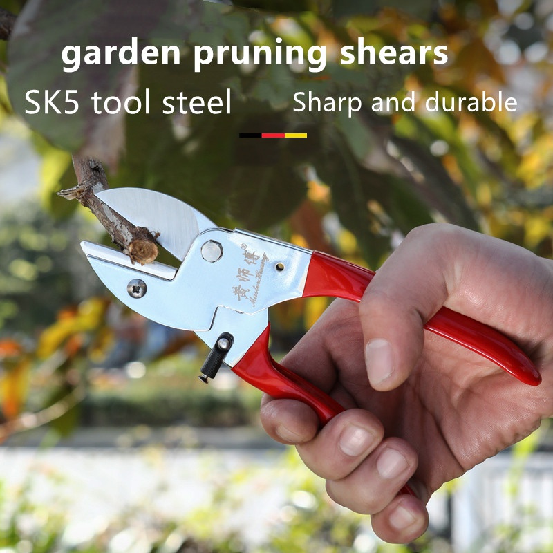 Tijeras de podar manuales de a - Bonsai Garden Kit reseña y precio