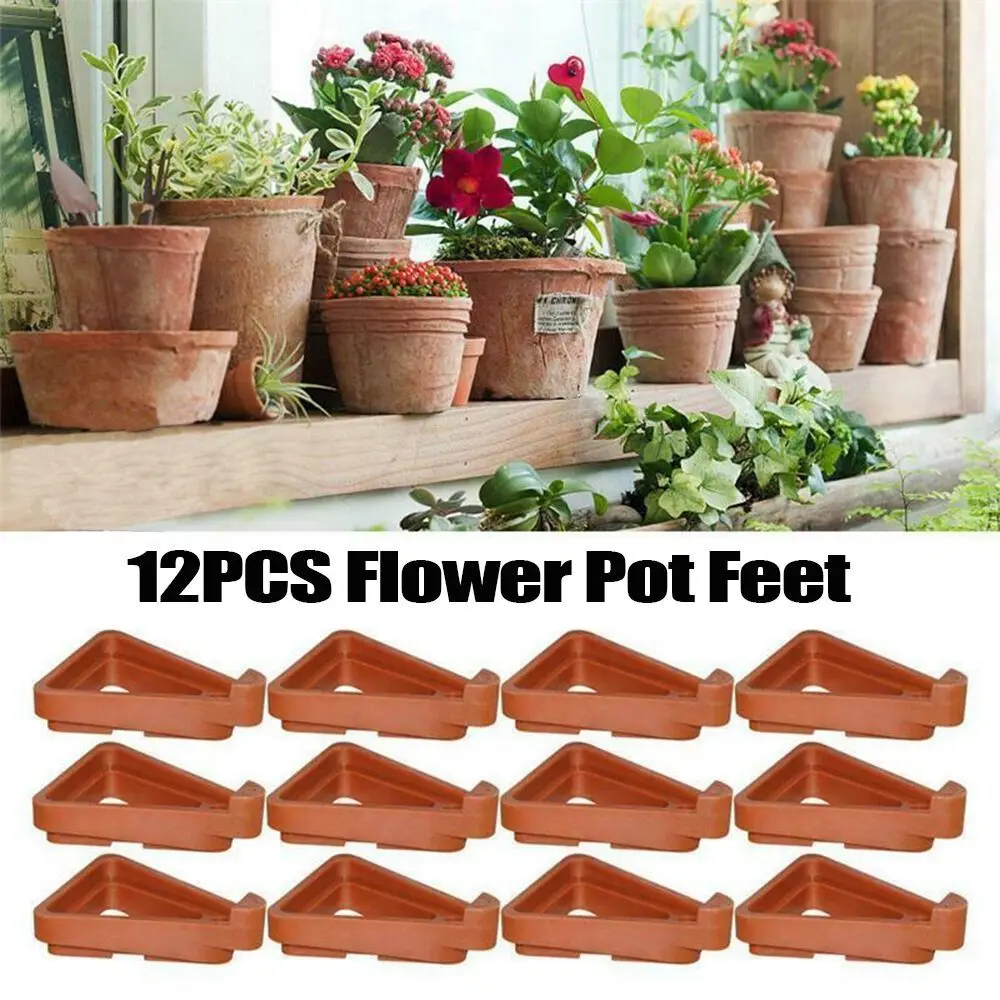 Soporte para Bonsái, Base para - Bonsai Garden Display reseña y precio