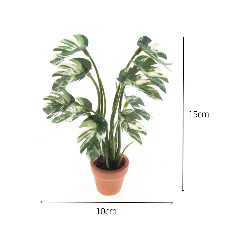 Nuevo. 1 unidad. Planta verde  - Bonsai Garden Usa reseña y precio