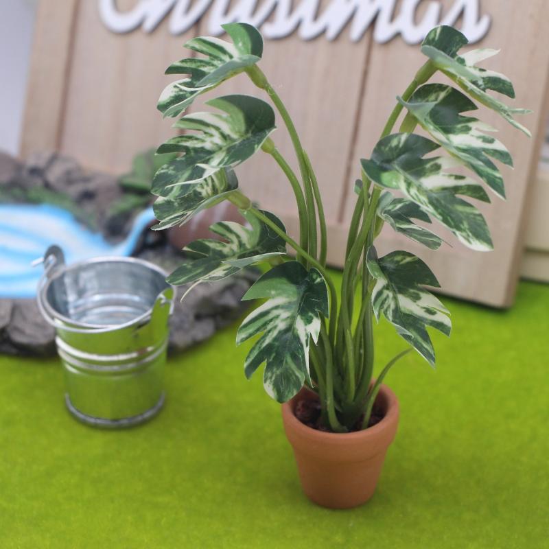 Nuevo. 1 unidad. Planta verde  - Bonsai Garden Usa reseña y precio
