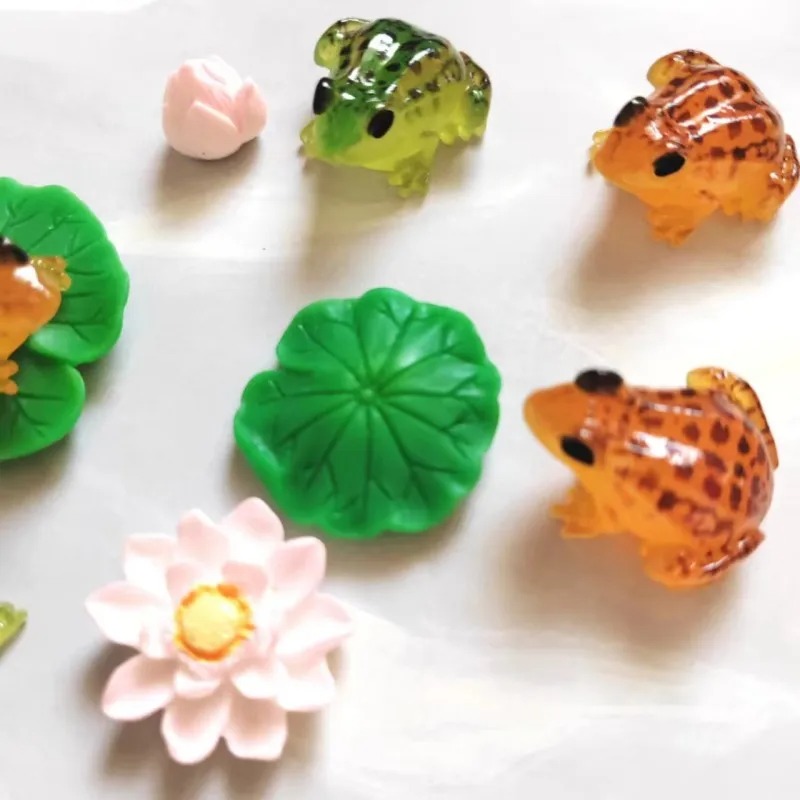 Adorables Ranas Pequeñas de Co - Bonsai Garden China reseña y precio