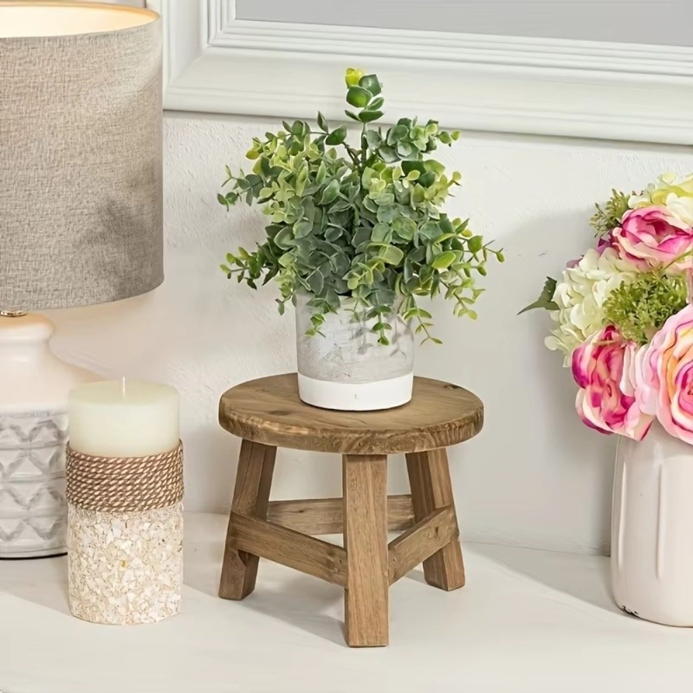 Soporte Moderno para Bonsáis,  - Bonsai Garden Display reseña y precio