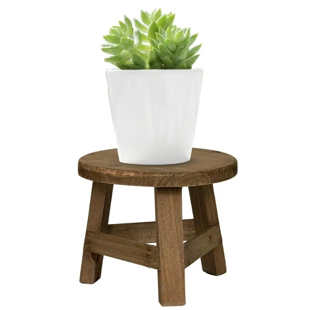 Soporte Moderno para Bonsáis,  - Bonsai Garden Display reseña y precio