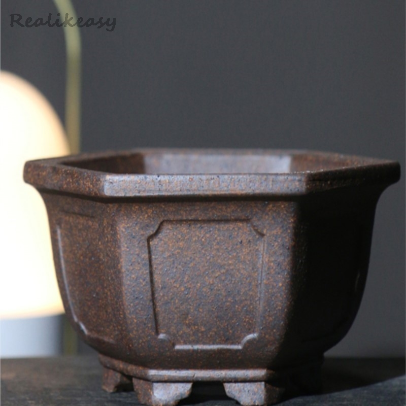Maceta de arena púrpura, bonsá - Bonsai Garden Kit reseña y precio